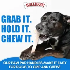 Bullibone Chew Toy for Large Dogs