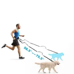 Unique Bargains Hands Free Dog Leash Black Silver Gray 1 Pc