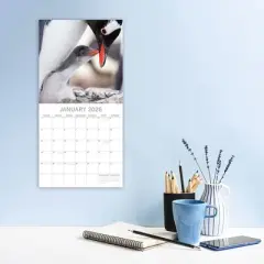 2026 Square Wall Calendar, Penguins, 16-Month Animals Theme with 180 Reminder Stickers (12x12 In)