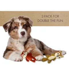 BEARPAW 2-Pack Pet Toys, Squirrel and Fox Dog Toys with Squeaker