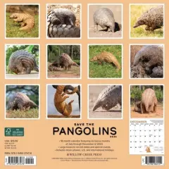 Willow Creek Press 2024 Wall Calendar 12"x12" Save the Pangolins