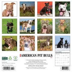 Willow Creek Press 12"x12" 2026 American Pit Bull Terriers Wall Calendar