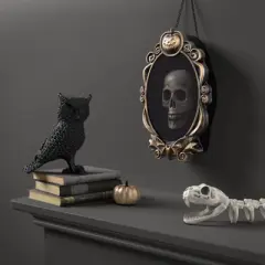 15" Light Up Emerging Skull Frame Halloween Decorative Prop - Hyde and EEK! Boutique&trade;: Indoor Window Hanger