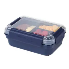 SnapLock Food Storage Containers Pk Progressive Internat