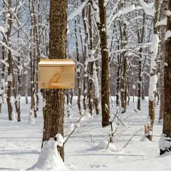 Uncle Dunkels Winter Bird Nesting Box, Handcrafted Wood Winter/Summer Outdoor Shelter