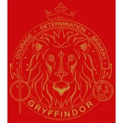 Boy's Harry Potter Gryffindor Line Art Seal T-Shirt