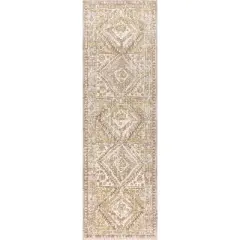 Darija Ornate Geometric Medallion Area Rug  - JONATHAN Y