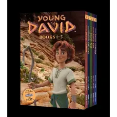Young David Series Box Set - by  Andy McGuire (Paperback)