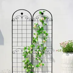 Lirago 2 Pack Metal Garden Trellis Rustproof Climbing Plant Support for Outdoor Flowers Vines Vegetables Black Powder Coated 86.7"H x 19.7"W x 1"D