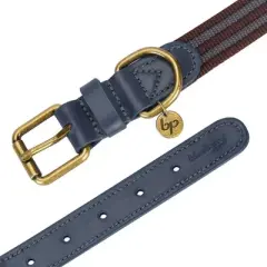 Blueberry Pet Polyester and Leather Dog Collar