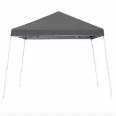 Z-Shade 10 x 10 Foot Angled Leg Outdoor Canopy Tent with a Push Button Locking System and Z-Shade 4 Pack of Heavy Duty Leg Weight Bags, Gray