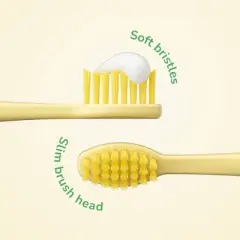 Ordo Sonic Kids Battery - Brush Heads - Squishmallows Wanda - 2pk