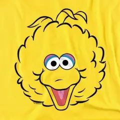 Toddler Boys' Sesame Street Big Bird Full Face T-Shirt