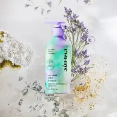 Eva NYC Lazy Jane Air Dry Shampoo - 8.8 fl oz