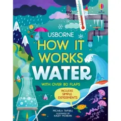 How It Works: Water - by  Micaela Tapsell (Board Book)