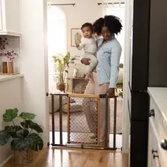 Ingenuity The Doorway 36S Series Safety Pet and Baby Gate - Slate Gray