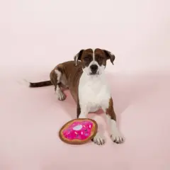 PetShop by Fringe Studio Sprinkle Donut Durable Plush Dog Toy