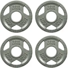 Gulches 4 Inch four pieces Olympic Cast Iron Weight Plates for Strength Training and Weightlifting, Multiple Weights