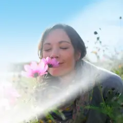 Air Wick Scented Oil Refill - Fresh Linen - 4.73 fl oz