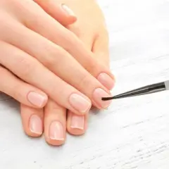 Unique Bargains Universal Nail Painting Brushes for Polish Painting Home DIY Clear Gray 1 Pc