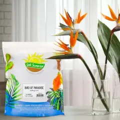 Soil Sunrise Bird of Paradise Potting Soil Mix, for Indoor / Outdoor Container Tropical Plants