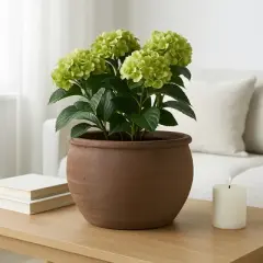 Rustic Wide Round Plant Pot for Indoor Plants or Outdoor - Traditional Clay Design That Adds Timeless Charm to Porch, Patio, or Entryway - 9" Brown