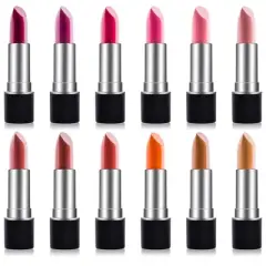 SHANY Slick & Shine Premium Lipstick Set  - 12 pieces
