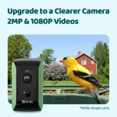 Smart Bird Feeder with Camera, AI Bird Recognition, Weatherproof, Eco-Friendly Design