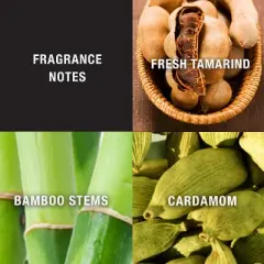 Lucky You Cologne Spray for Men 3.4 Fl oz, Day or Night Casual Scent with Bamboo Stem Fragrance Notes, Versatile Everyday Fragrance