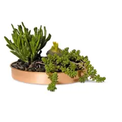 Gardener's Supply Company Small Round Copper Plant Tray, 10" Diameter