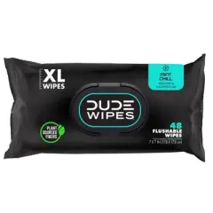 Dude Wipes Mint Chill Flushable Wipes - 3pk/48ct