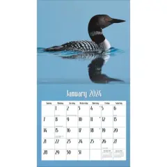 Lang 2024 Wall Calendar 24"x12" Loons on the Lake