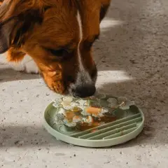 Dexypaws: Hide & Seek Slow Feeder, Sage Green, Dog & Pet, Meal & Treat Feeding