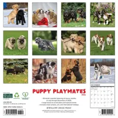 Willow Creek Press 2026 Puppy Playmates Wall Calendar