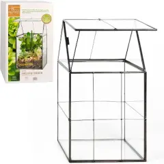 D'Eco Glass Geometric Terrarium for Succulent & Air Plant-Hinged Roof Shaped for Indoor Gardening Decor- Create your own Centerpiece (Large 5"x6"x11")