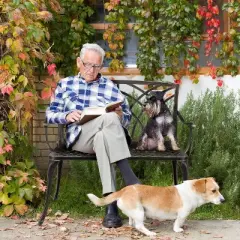 VINGLI 38" Outdoor Metal Bench, Bronze Cast Aluminium Garden Bench, Orchid Porch Bench Deck Furniture for Patio Yard Entryway