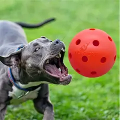 Noa Store 10'' Unbreakable Dog Ball Toy - Red