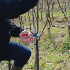 FELCO 17, Ergonomic Rotative Handle Aluminum Hand Pruner, Medium Left Hand, Swiss Made