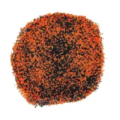 Sprinkle Me This &ndash; A Touch of Halloween &ndash; Black & Orange Nonpareils &ndash; Festive Halloween Sprinkle Blend
