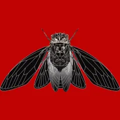 Men's Design By Humans Monochrome Cicada By Realkey Tank Top