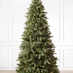 Balsam Hill Pre-Lit Bellevue Spruce Artificial Christmas Tree