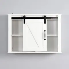 Organnice Bathroom Wall Cabinet with 2 Adjustable Shelves