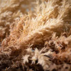 Artificial Cream Reed Wreath Cream 22"H