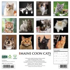 Willow Creek Press 12"x12" 2026 Cats Spiral Wall Calendar