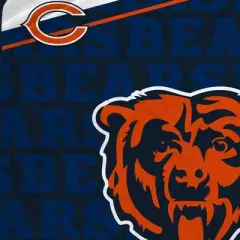 NFL Chicago Bears Diagonal Ghost Checker Double Sided Ultra Cozy Blanket