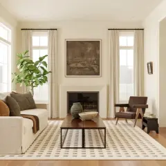 Nuloom Daleyza Checkered Pet Friendly Textured Machine Washable Area Rug