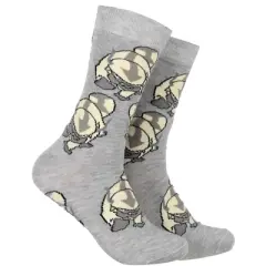 Avatar The Last Airbender Aang and Appa Character Adult Crew Socks 2 Pair Multicoloured