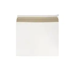 JAM Paper Expandable Photo Mailer Envelopes w/Self-Adhesive Closure 17 x 14 x 1 48906708B