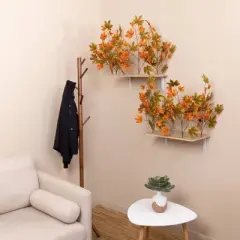 On2Pets Summer Rectangle Cat Canopy Shelves - Orange/Green - 2ct