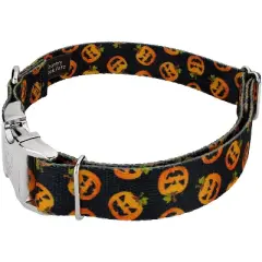 Country Brook Petz Premium Happy Jack Dog Collar